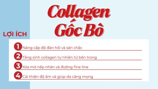 Collagen gốc bò
