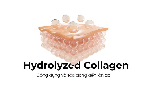Hydrolyzed Collagen