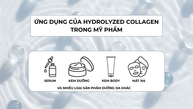 Hydrolyzed Collagen