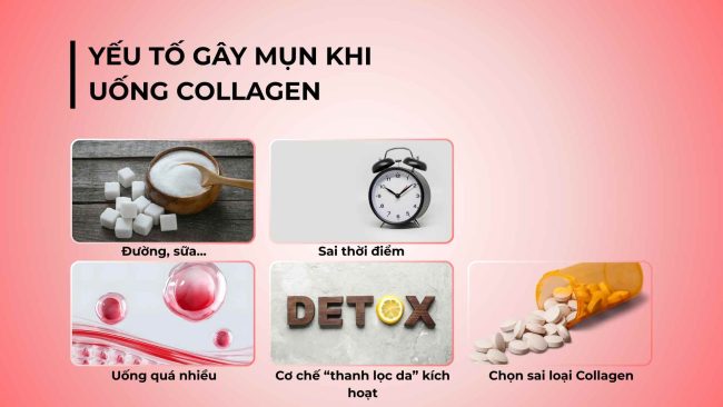 Collagen