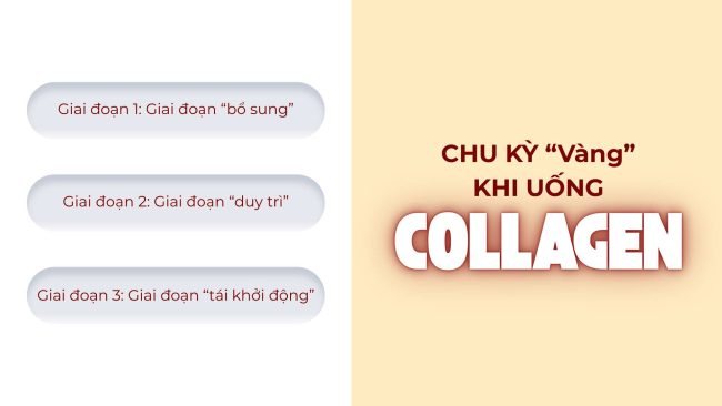 Uống Collagen
