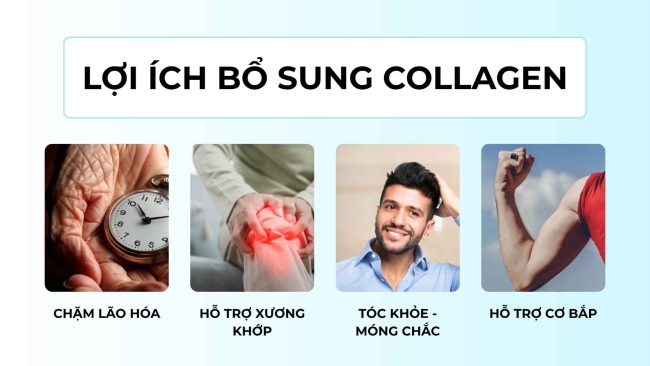 Bổ sung Collagen