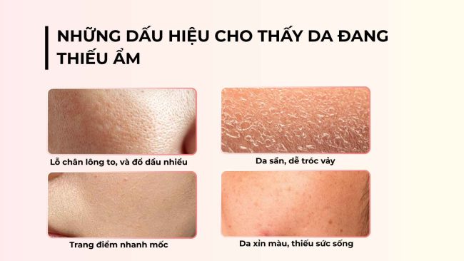 Cấp ẩm