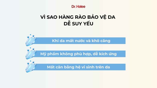 Hàng rào bảo vệ da