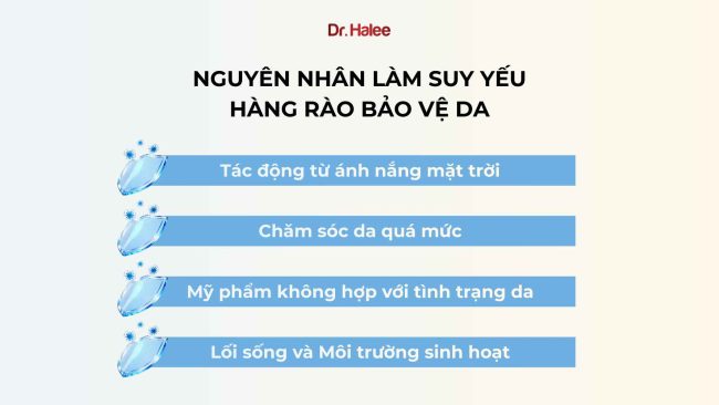 Hàng rào bảo vệ da