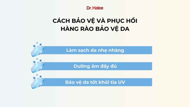 Hàng rào bảo vệ da