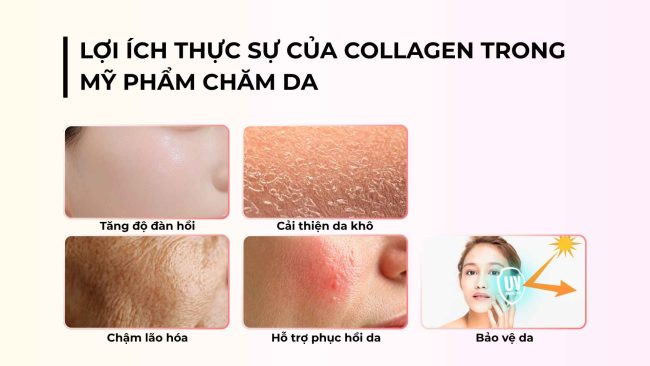 collagen