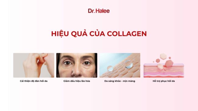 Collagen